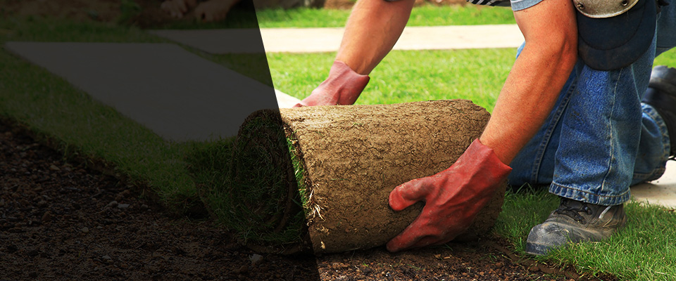 Maumelle Landscapers